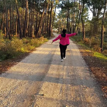 Laurus - Charming House * Raposeira (Faro)